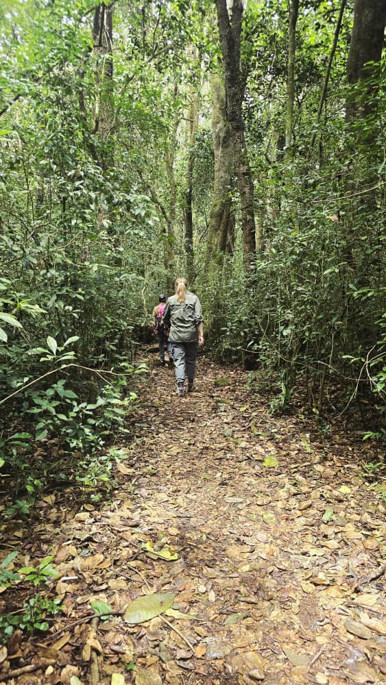2 Days 1 Night Lushoto Hiking Escape