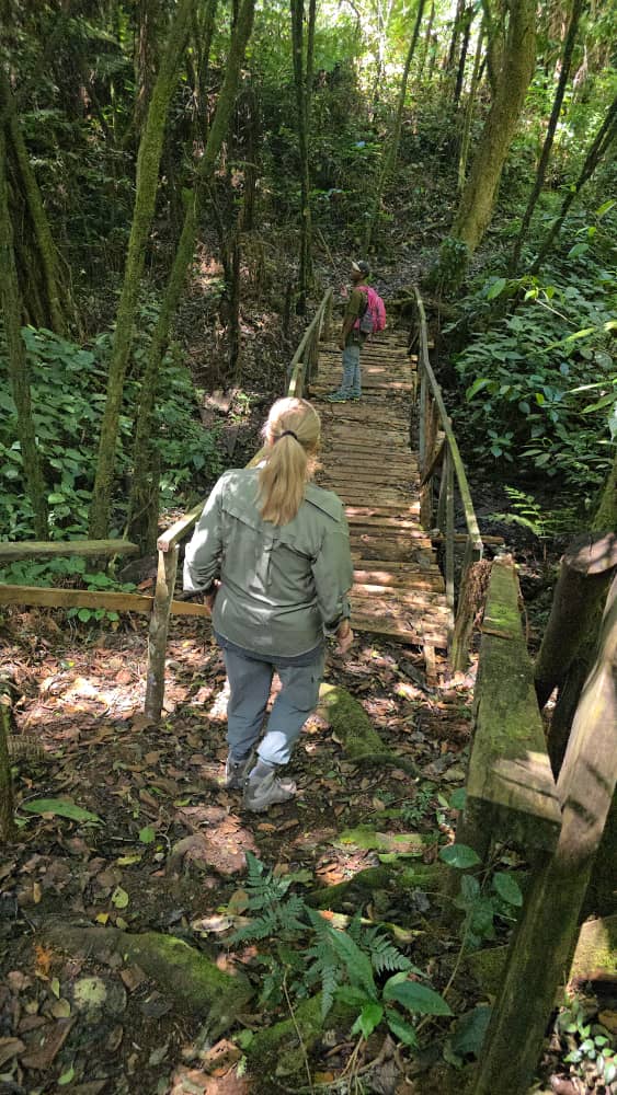 2 Days 1 Night Lushoto Hiking Escape