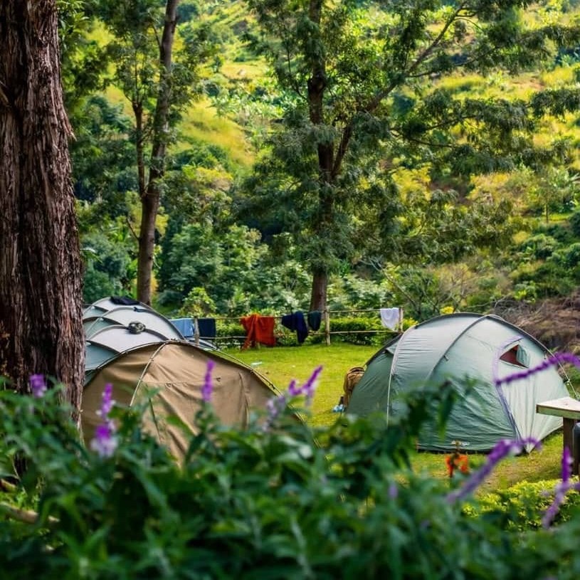 A nicely set up camp with tents among flowers and greenery at Morning Site, Uluguru Mountains, laundry line in the background