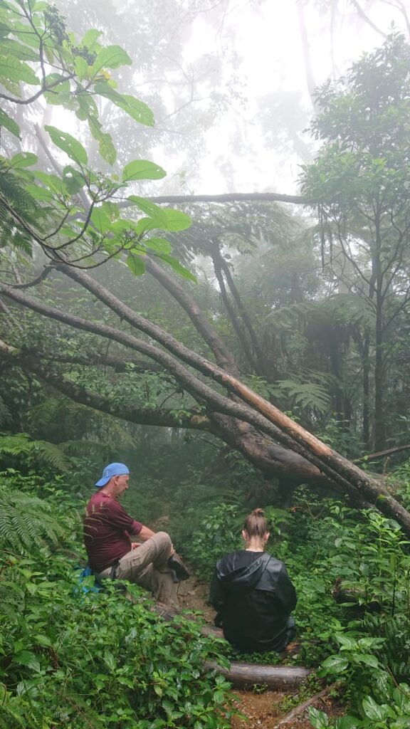 Two hikers resting on the trail in misty cloud forest on the way up Uluguru Mountains