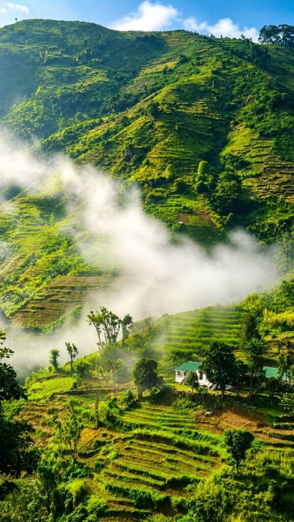 Morning mist rolling over the green terraced hillsides of the Uluguru Mountains